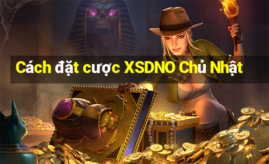 Cách đặt cược XSDNO Chủ Nhật