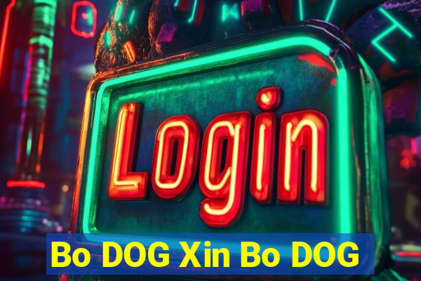 Bo DOG Xin Bo DOG