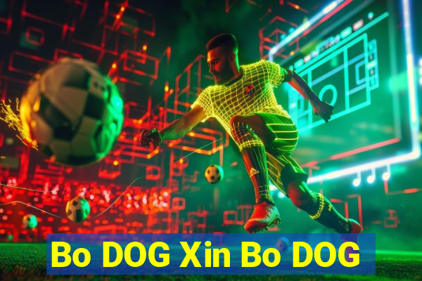 Bo DOG Xin Bo DOG