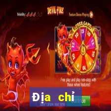 Địa chỉ download Dr.