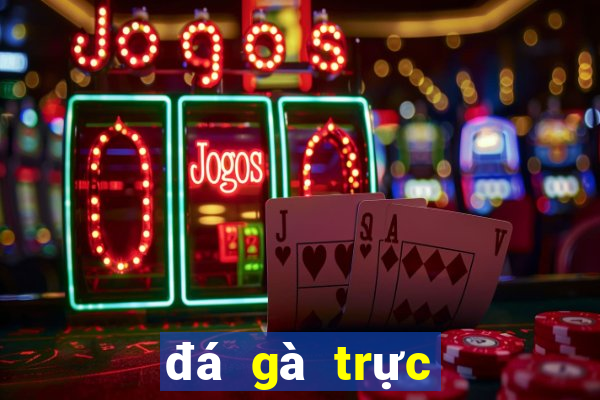 đá gà trực tiếp bên casino