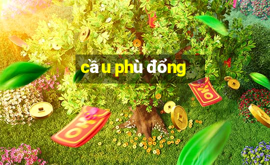 cầu phù đổng