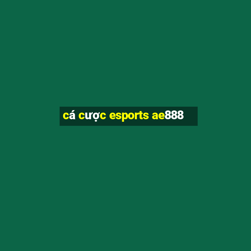 cá cược esports ae888