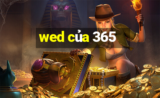 wed của 365