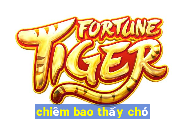 chiêm bao thấy chó