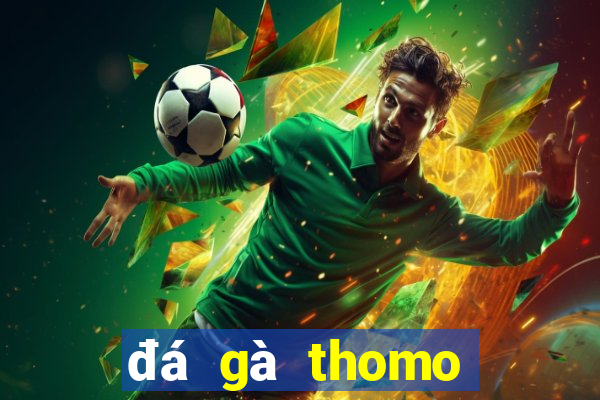 đá gà thomo giải gà tre