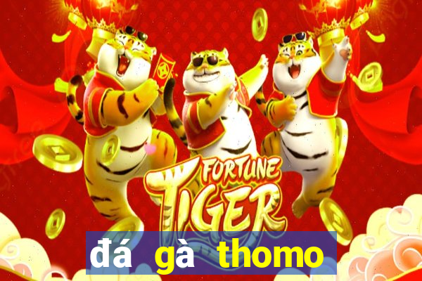 đá gà thomo giải gà tre