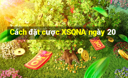 Cách đặt cược XSQNA ngày 20