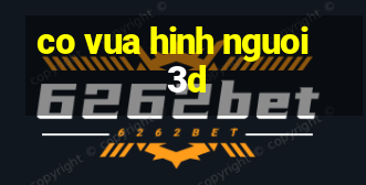 co vua hinh nguoi 3d