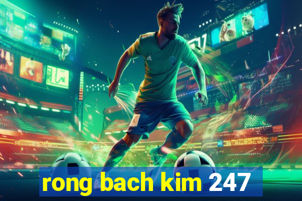 rong bach kim 247