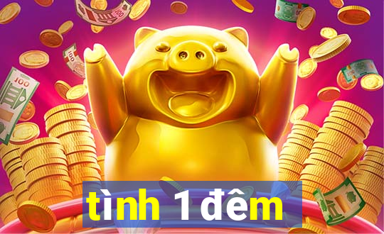 tình 1 đêm