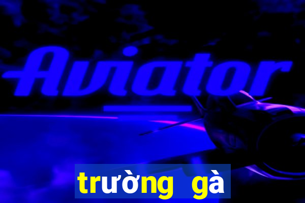 trường gà quốc tế casino 888