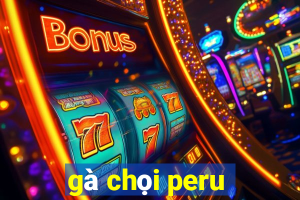 gà chọi peru