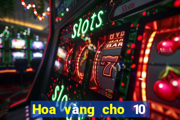 Hoa vàng cho 10 đô la nhập học