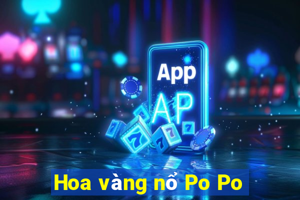 Hoa vàng nổ Po Po