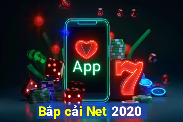 Bắp cải Net 2020