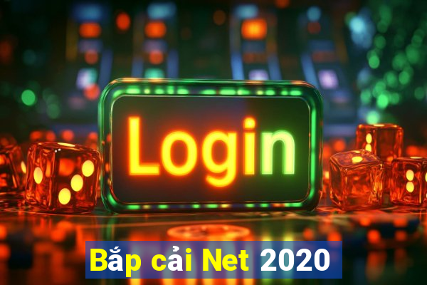 Bắp cải Net 2020