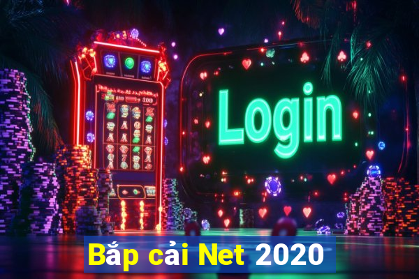 Bắp cải Net 2020