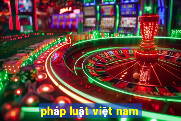 pháp luật việt nam