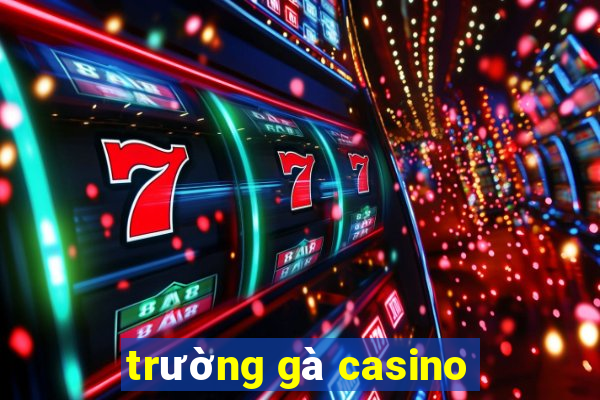 trường gà casino