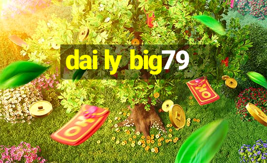 dai ly big79