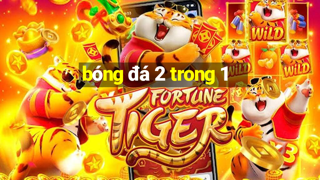 bong da 2 trong 1