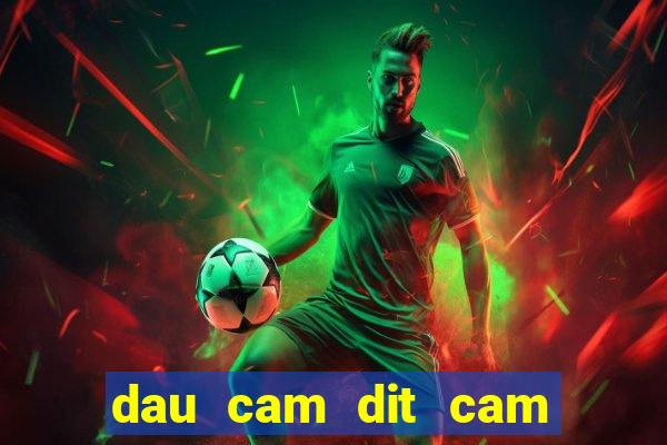 dau cam dit cam danh con gi