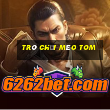 trò chơi mèo tom