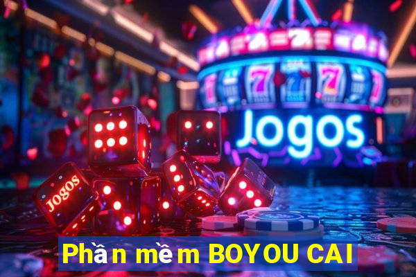 Phần mềm BOYOU CAI