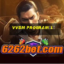 vvbm programėlė