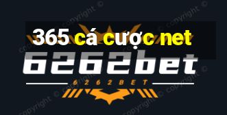 365 cá cược net