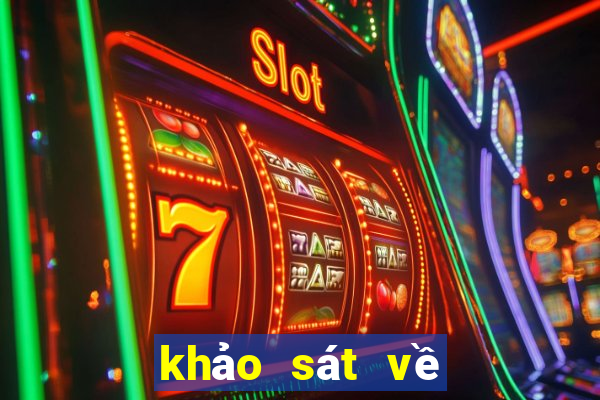 khảo sát về dịch vụ công