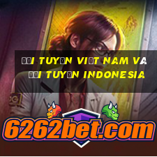 đội tuyển việt nam và đội tuyển indonesia