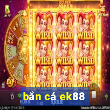 bắn cá ek88