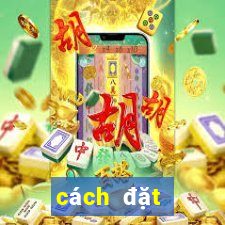 cách đặt cược bóng đá