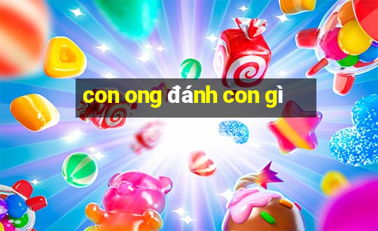 con ong đánh con gì