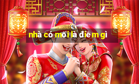 nhà có mối là điềm gì