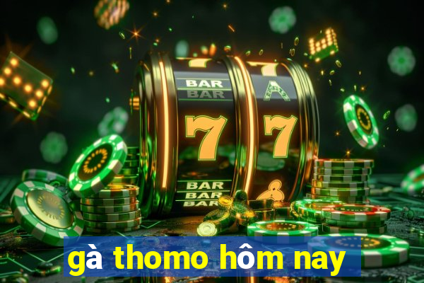 gà thomo hôm nay