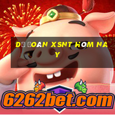 Dự đoán XSNT hôm nay