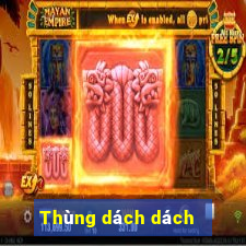 Thùng dách dách