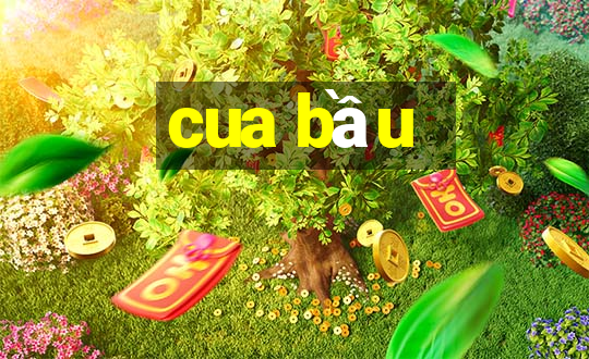 cua bầu