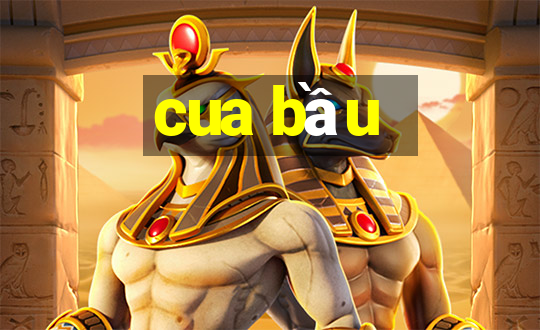 cua bầu