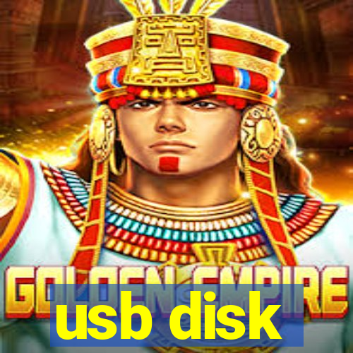 usb disk