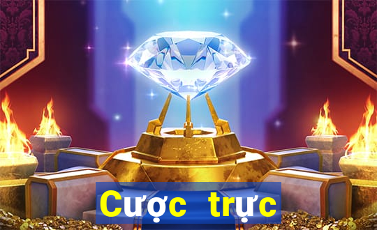 Cược trực tuyến an toàn