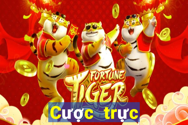 Cược trực tuyến an toàn