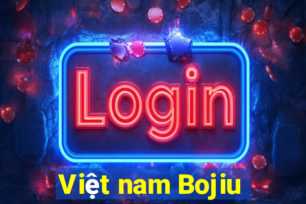 Việt nam Bojiu