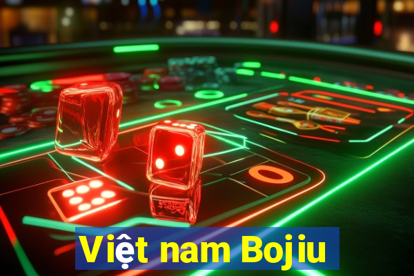 Việt nam Bojiu