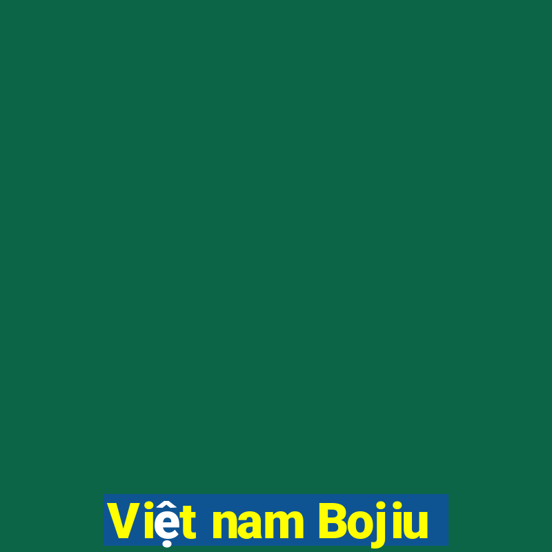 Việt nam Bojiu