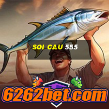 soi cau 555