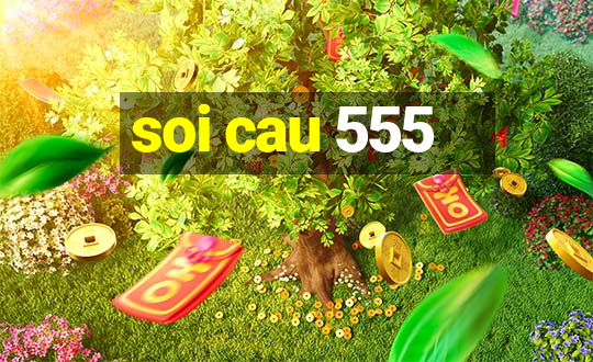 soi cau 555